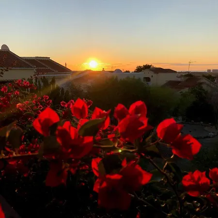 Sonniges An Der Costa Blanca